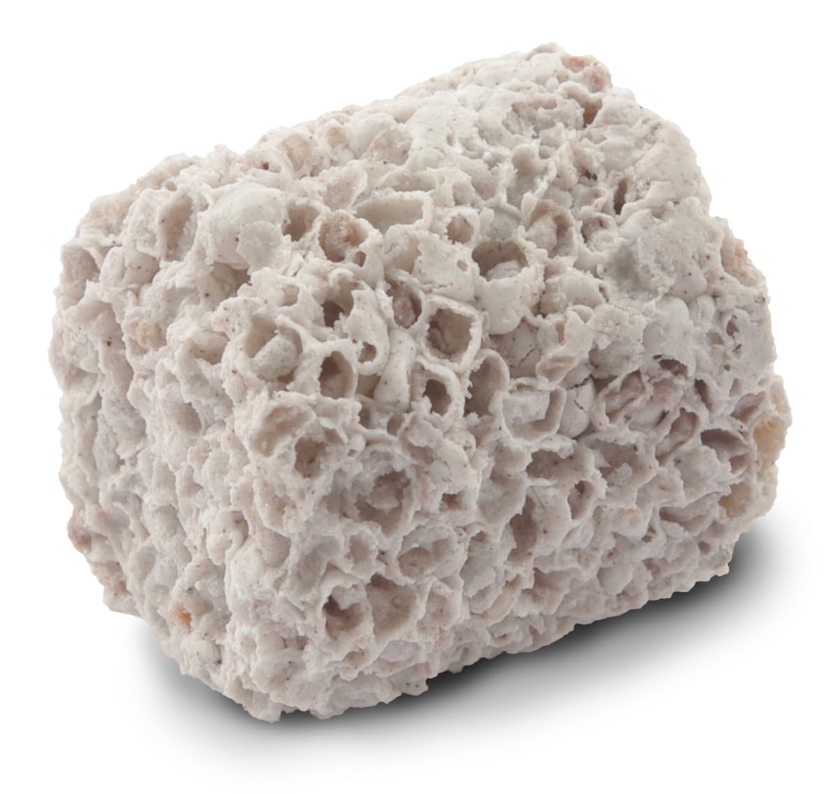 Fluval BIO-FX Biological Filter Media – 2 L Premium Ceramic Bio Media for Freshwater & Saltwater Aquariums – High Surface Area for Beneficial Bacteria Growth – Fits All Canister & Power Filters - Image 3